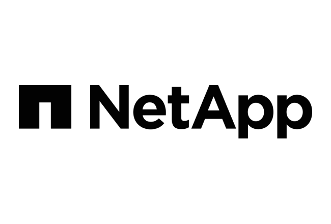 Фото Сервисная поддержка NetApp